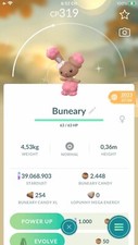 Pokemon Shiny Buneary Wearing