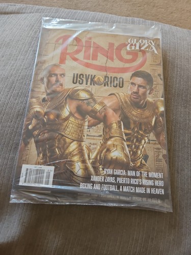 The ring usyk - usyk, 2026