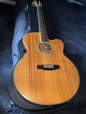 TANGLEWOOD (electro Accousitic