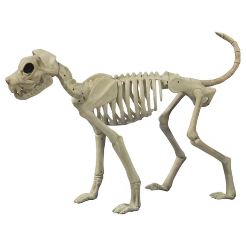Buster bonez 28in skeleton dog - buster,