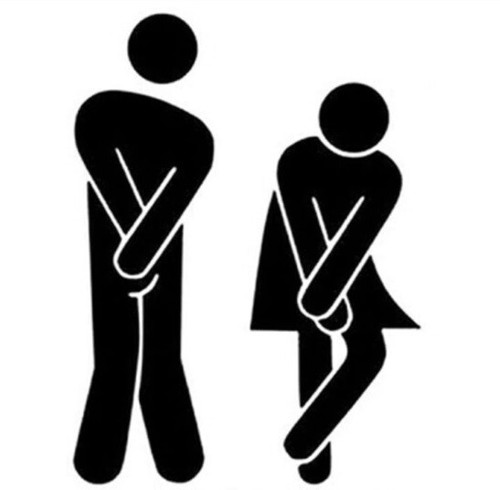 Toilet door sign sticker - door,