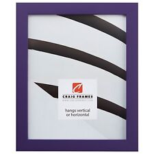 Craig Frames Confetti, Modern Purple Solid Wood Picture Frame