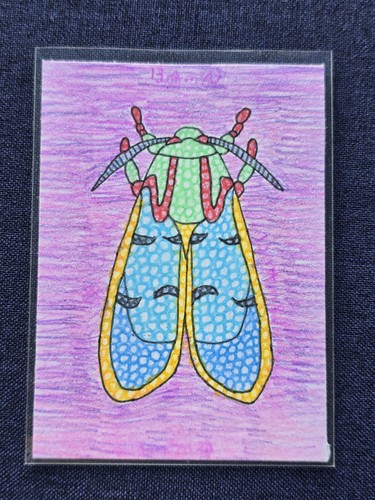 Aceo chlorhoda moth 2 - moth, #2