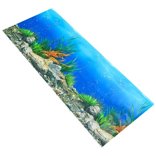 Aquarium fish tank - aquarium, background