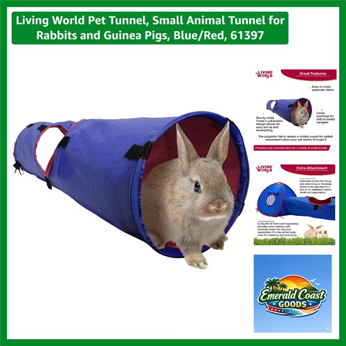 Large blue red - collapsible, pet