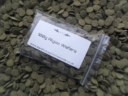Premium algae wafers - wafers, pleco