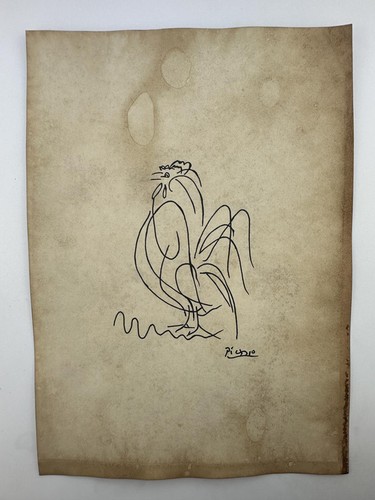 Pablo picasso coa art - pablo,