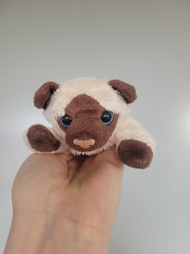 Collectable the cuddle crew - collectable,