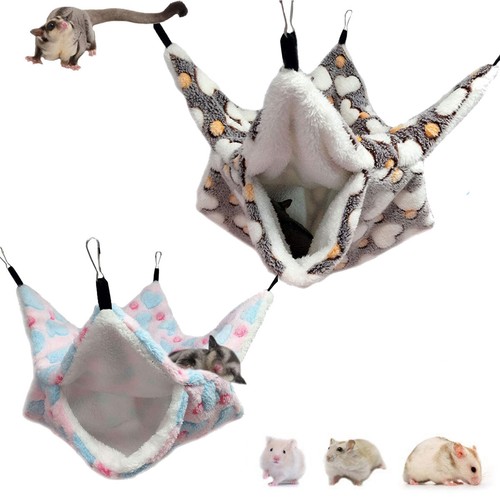Ferret rat squirrel pet bird - rat,