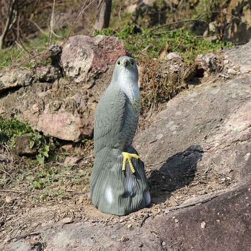 Decoy hawk garden eagle bird - garden,