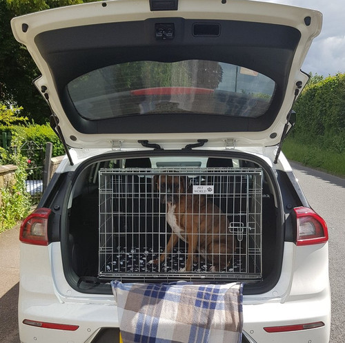 Pet world kia niro sloping - kia,