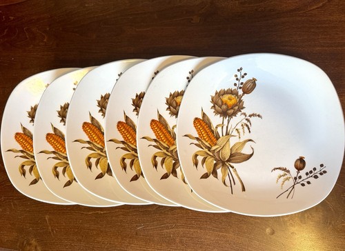 Set dinner plates - dinner,