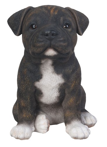 Staffy bull terrier brindle - staffy,