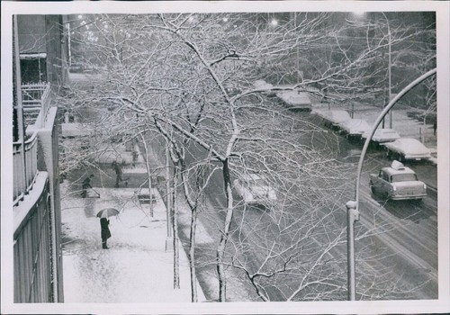 Snow falls city - snow,