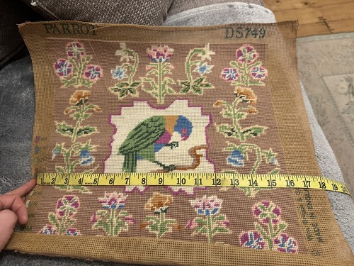 William briggs parrot - william, tapestry