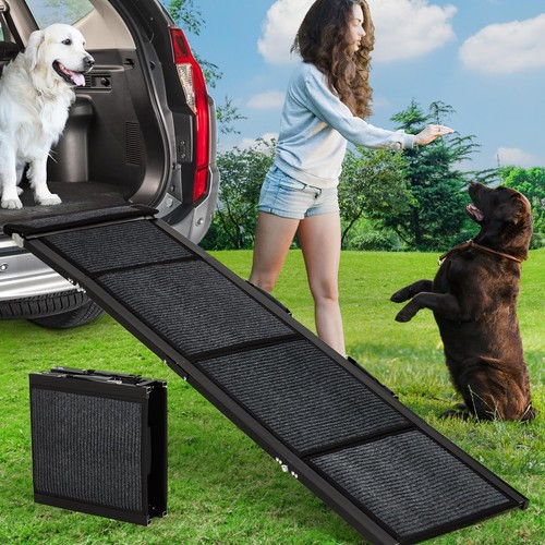 Heavy duty folding dog - folding, ramp