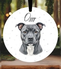 Staffordshire Bull Terrier