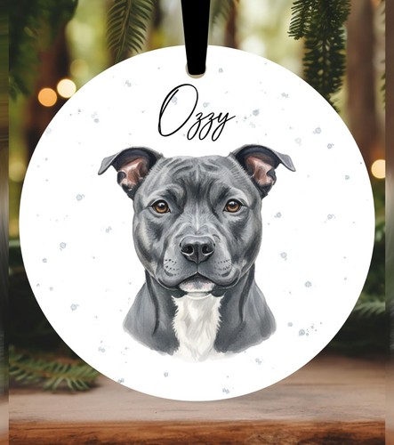 Staffordshire bull terrier - bull,