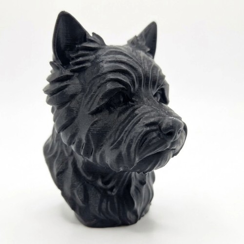 Cairn terrier dog bust - terrier, home