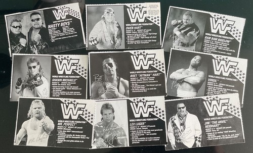 Wwf wwe hasbro mattel retro - wwf,