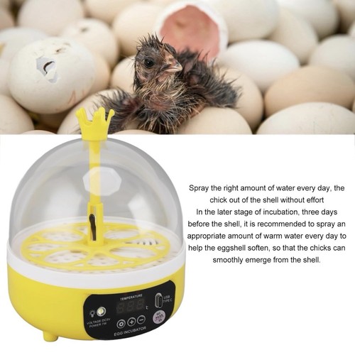 Intelligent egg incubator - intelligent,