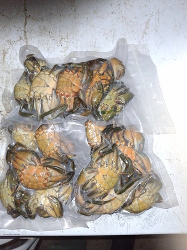 Frozen peeler crab - frozen, fishing