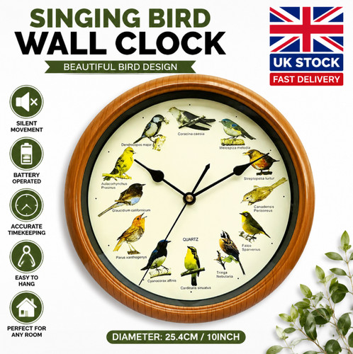 Singing bird wall - singing, clock
