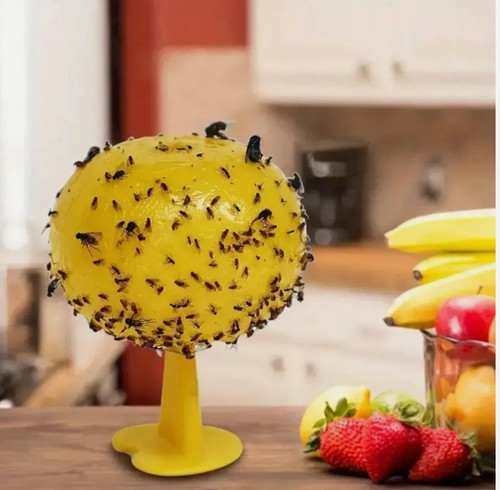 Fruit fly balls - fruit,