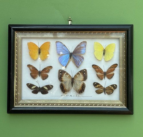 Vintage brazil framed - vintage,