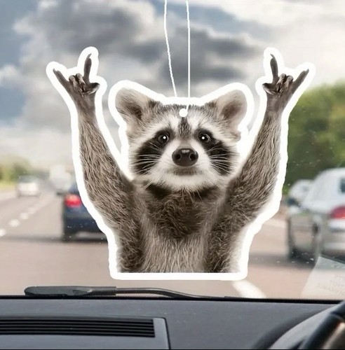 Funny raccoon car - raccoon, air