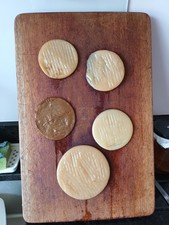 Kombucha Scoby - at least 7