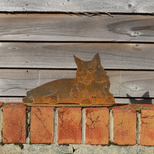 Maine coon lying - coon, statue