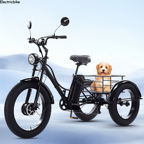Inch electric cargo - 24,