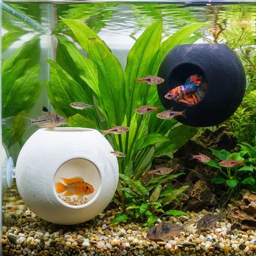 Plastic hiding cave ball - hiding,