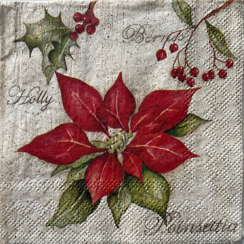 Cocktail paper napkins for - 2, x
