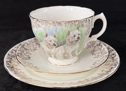 West highland terriers - highland, tea