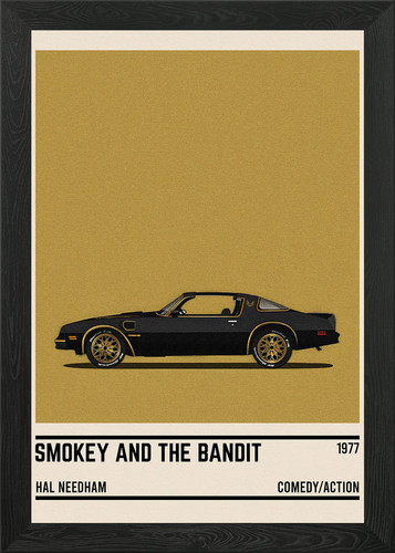 Smokey and the bandit car - smokey,