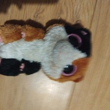 2011 TY beanie boo Nibbles the