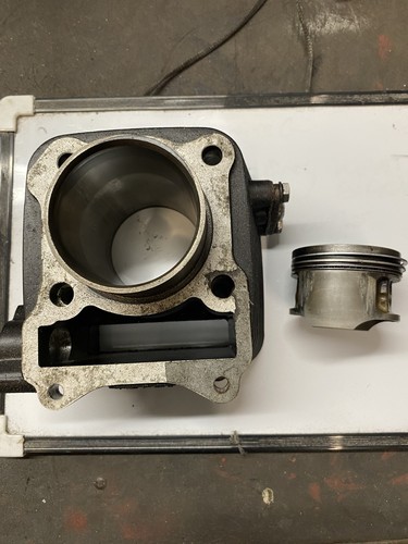 Mutt herald bullit - mutt,