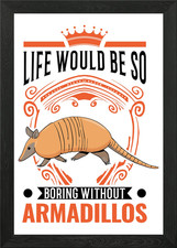 Armadillo Gift Framed Wall Art