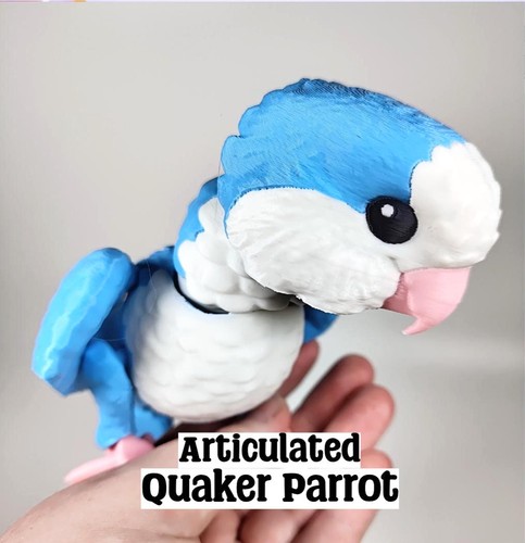Articulated quaker parrot - parrot, 3d