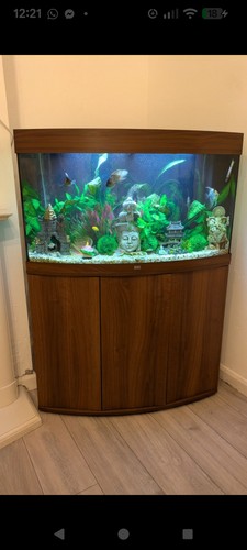Juwel vision bowfront fish - juwel,