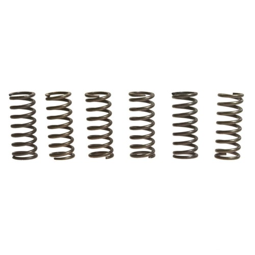 Ebc clutch springs - 6, rinf.