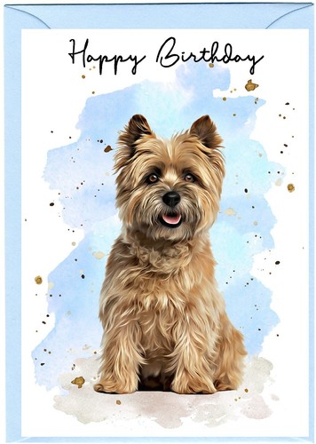 Cairn terrier dog - cairn,