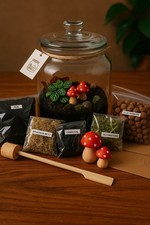 DIY Terrarium Full Kit