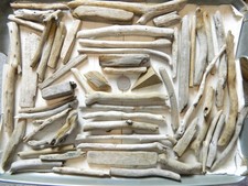 50 Driftwood Pieces For Arts