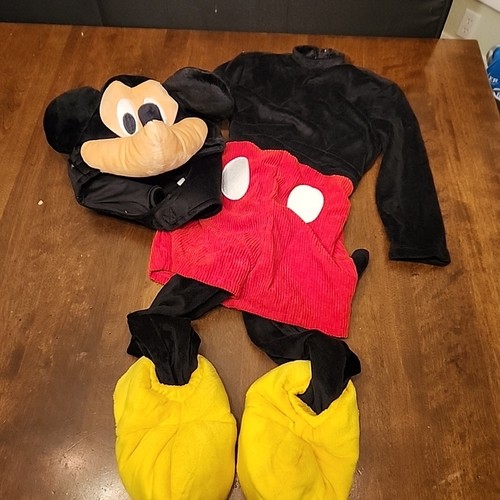 Disney spirit mickey friends - spirit,