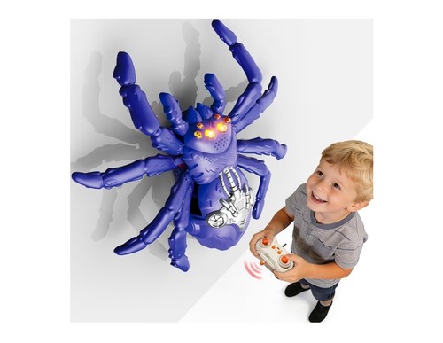 Wall crawling spider - wall,