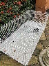 Indoor/Outdoor Rabbit Or