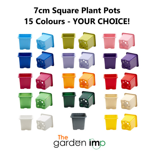 7cm square plastic plant pots - 7cm,